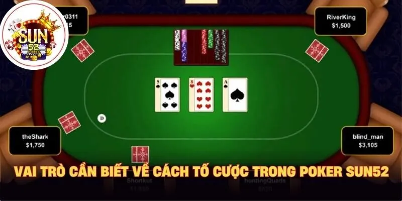 Vai trò cần biết về cách tố cược trong Poker Sun52